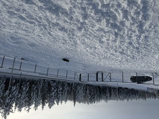 A black and white corgi cardigan running around in a snowy dog park.