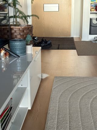 A black and white corgi cardigan's white tail tip pokes out from behind a tv stand. There's a TV visible some pots with plants in them and some shoes in the background.