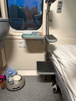 A black and white corgi cardigan lying under a bunk bed in a sleeper car of a train.