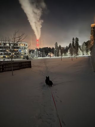 A black and white corgi cardigan standing at the edge of a patch of snow. It is evening and in the background an industrial chimney is visible, its warning lights glowing red.