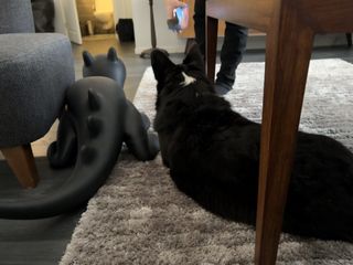 A black and white corgi cardigan lying next to her black dragon "friend": A corgi sized dragon stool kind of thing next to a couch.