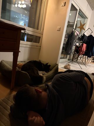 A man lying on the floor and a black and white corgi cardigan lying in her dog bed. It's hard to see, but the man is using his foot to move the dog bed in a way that is not super obvious to the dog.
