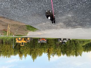 A black and white corgi cardigan walking past three working machines for putting down asphalt.