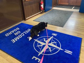 A black and white corgi cardigan walking over a carpet saying "welcome on board" and showing an image of a compass.