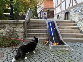 A black and white corgi cardigan standing in front of a few steps with a small artificial water feature in the middle, with some blue LEDs. A timber framed building (German Fachwerkhaus) is visible right of the stairs.