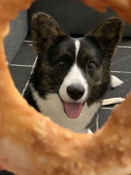 IMG_7608.jpeg IMG 7608