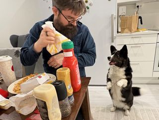 A black and white corgi cardigan jumping up to see if some of the McDonald's might be for her.