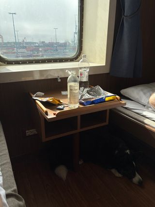 A black and white corgi cardigan lying under bed side table. On the table a couple of bottles and some candy amongst other things. Over the table, a window is visible and through that a harbor.